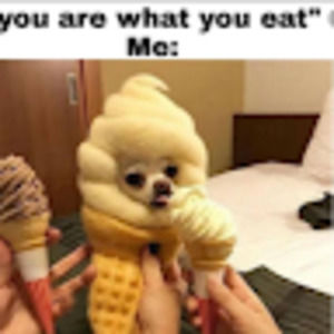 Meet your Posher, Addison